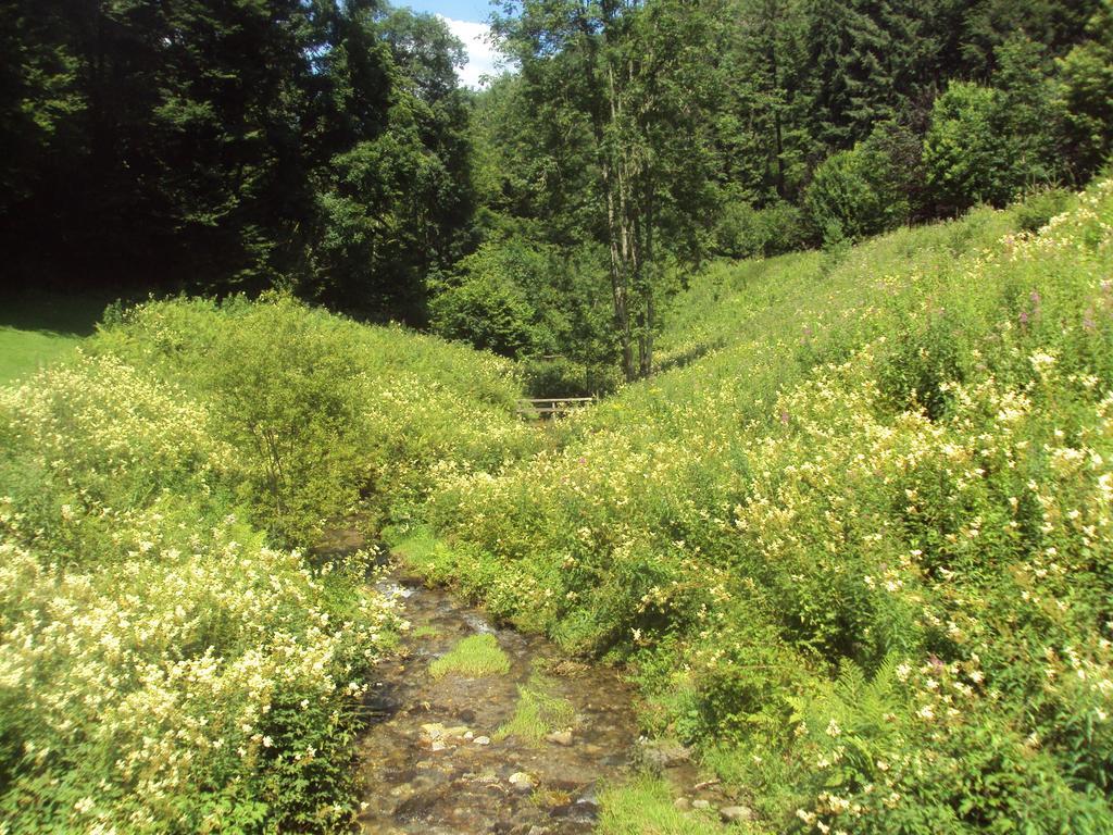 Le Vieux Moulin Bohan Luaran gambar