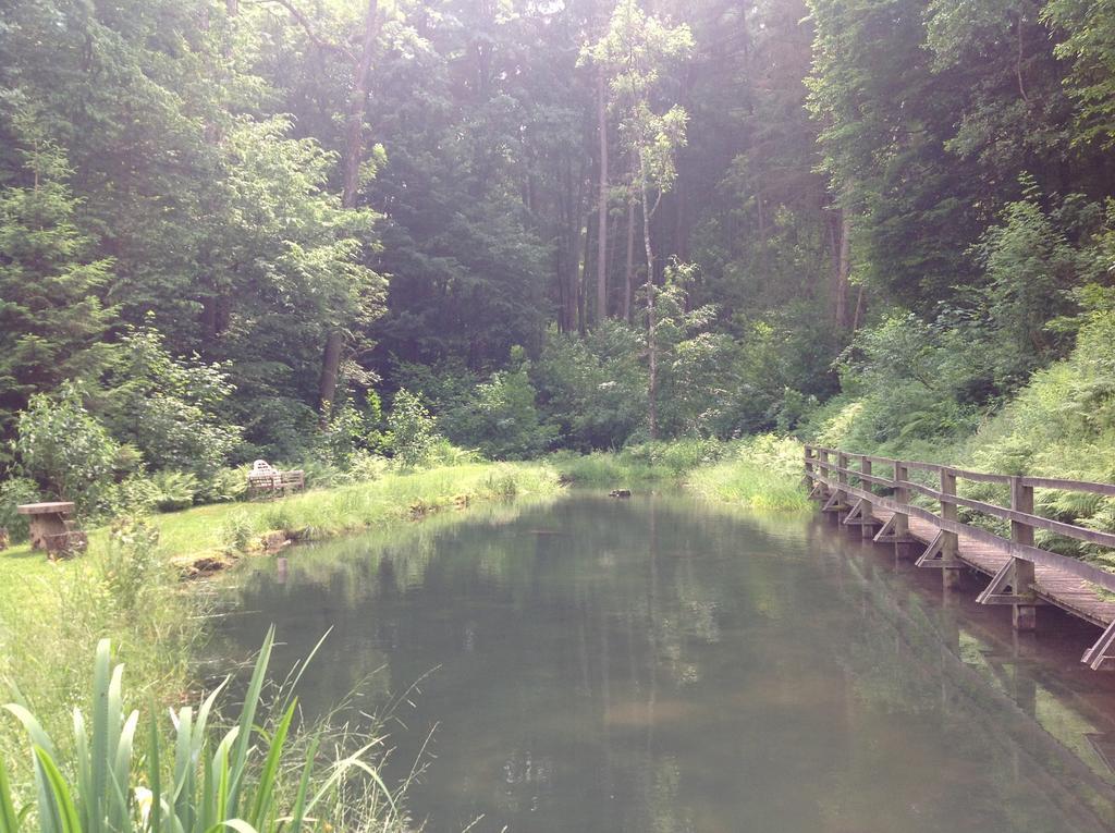 Le Vieux Moulin Bohan Luaran gambar